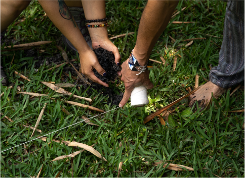 Students planting in a field