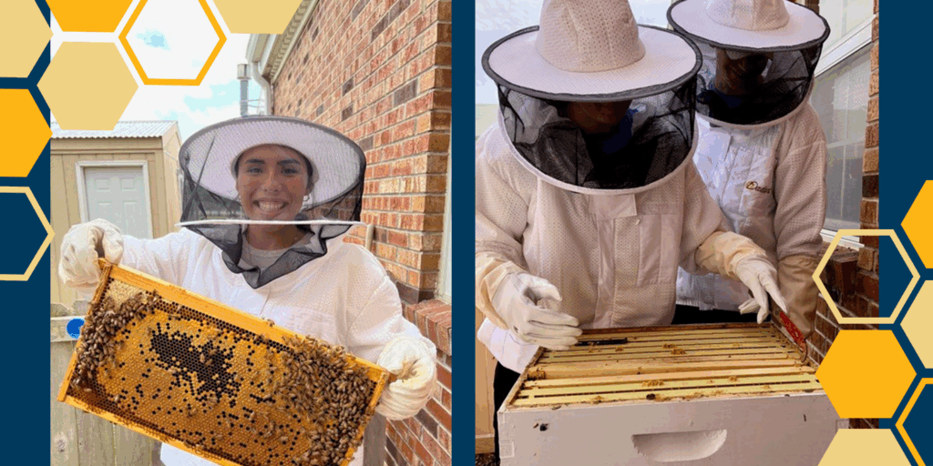 bee-keeping-MNU-students-1024x512.png