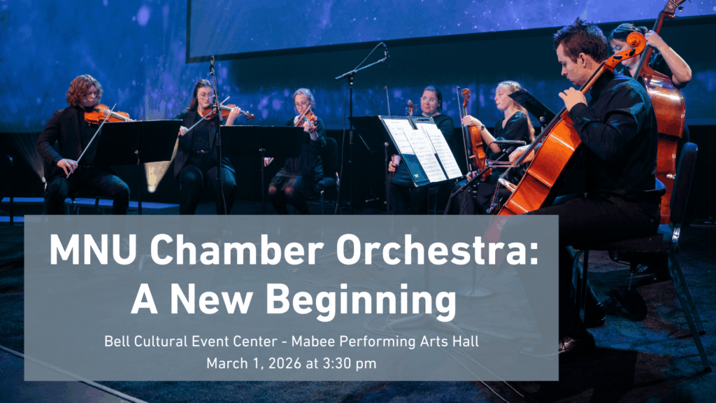 Chamber orchestra promo